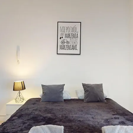 Fibra Lungo ריבניק