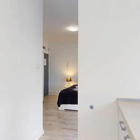 Fibra Lungo * ריבניק