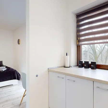 Apartamento Fibra Lungo Rybnik (Silesia)