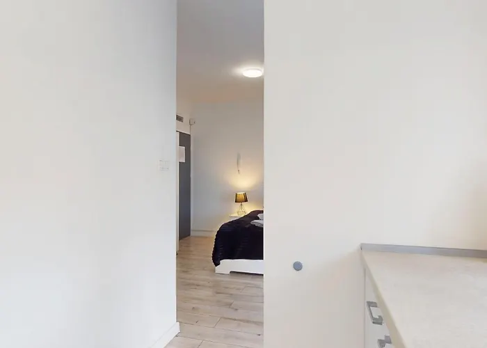 Fibra Lungo * ריבניק