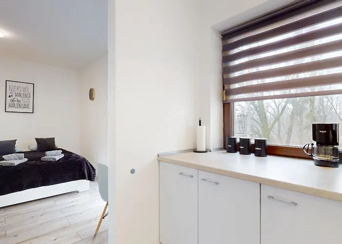 דירה Fibra Lungo ריבניק